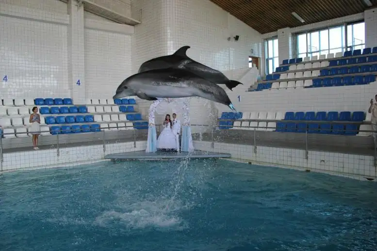 4_Dolphinarium Naberezhnye Chelny