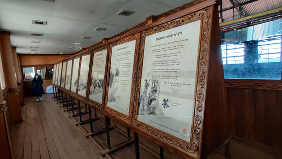 The Tea Factory & The Tea Museum