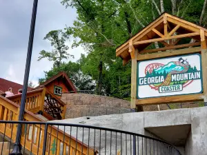 Georgia Mountain Coaster