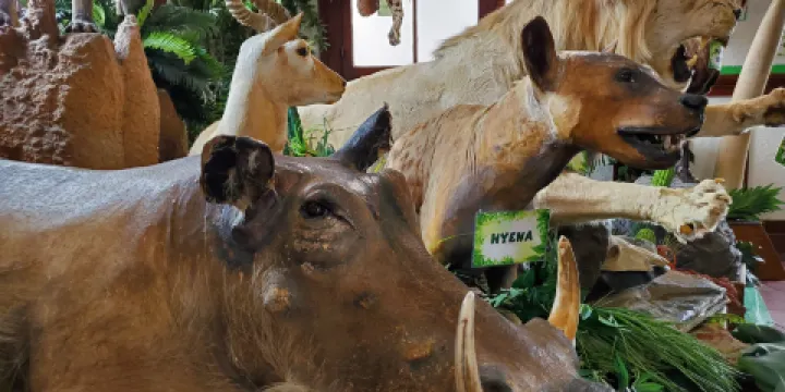 La Habra Children's Museum