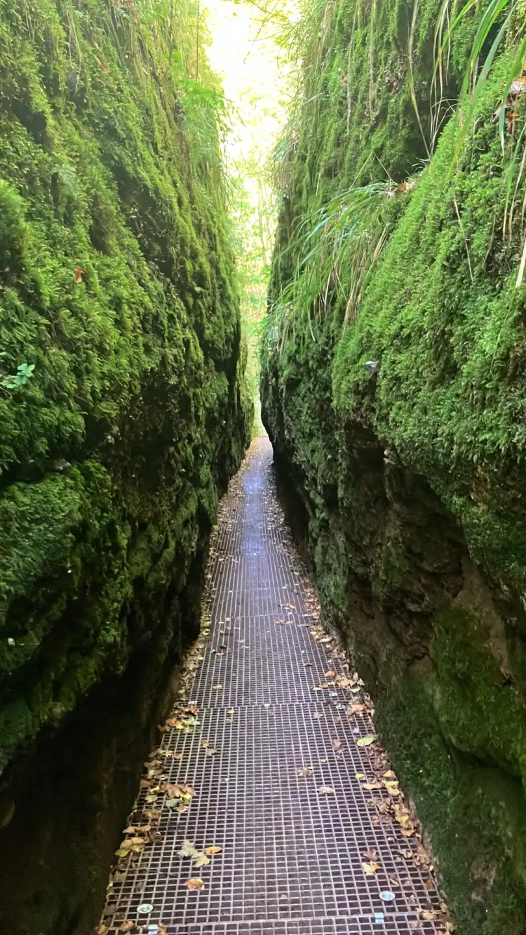 Hotels near Drachenschlucht / Landgrafenschlucht