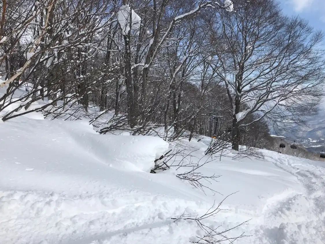 Hotels near Myoko Kogen