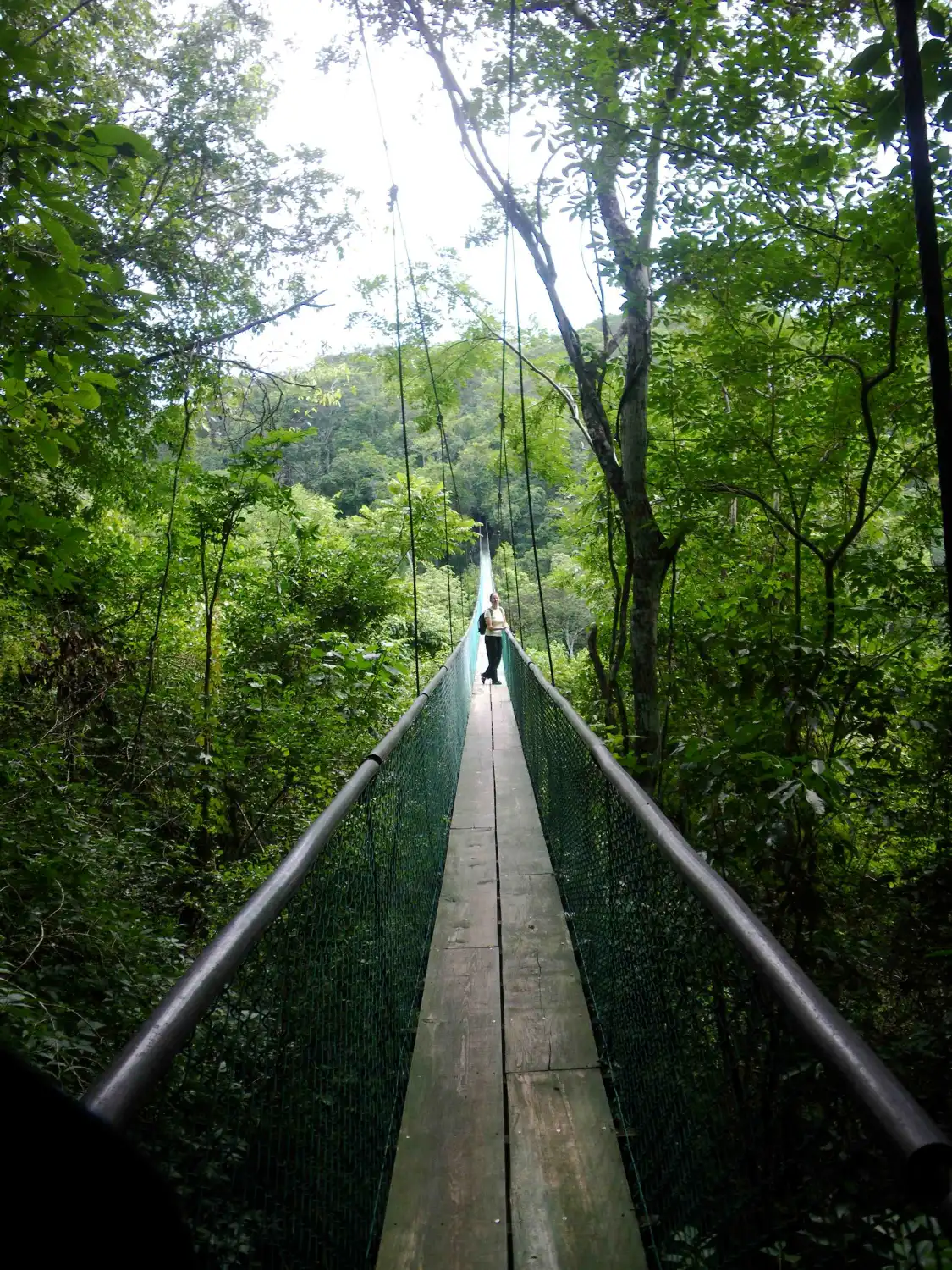 Hotels near Ixpanpajul Nature Park