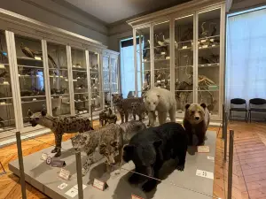 Muséum dHistoire naturelle de La Rochelle