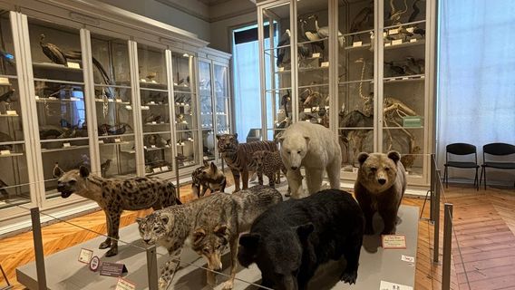 Musee d'histoire naturelle de La Rochelle