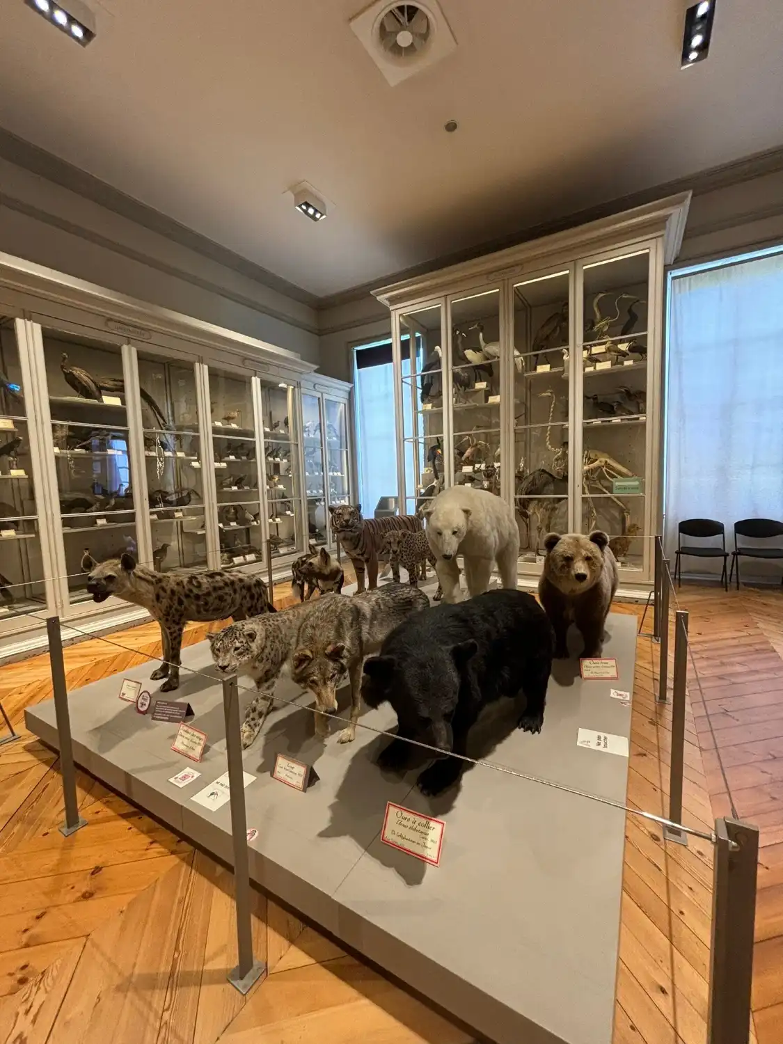 Hotels in der Nähe von Muséum dHistoire naturelle de La Rochelle