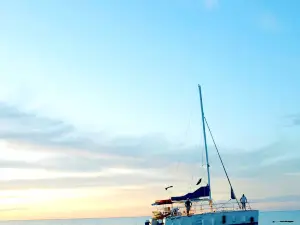 Blue Dolphin Sailing