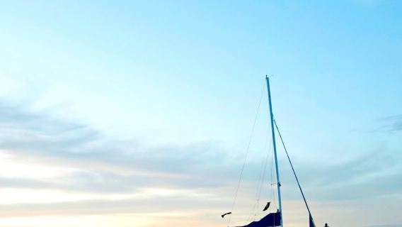 Blue Dolphin Sailing