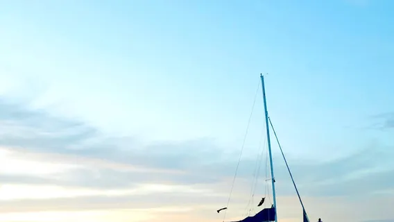 Blue Dolphin Sailing