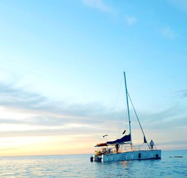 Blue Dolphin Sailing