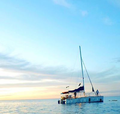 Blue Dolphin Sailing