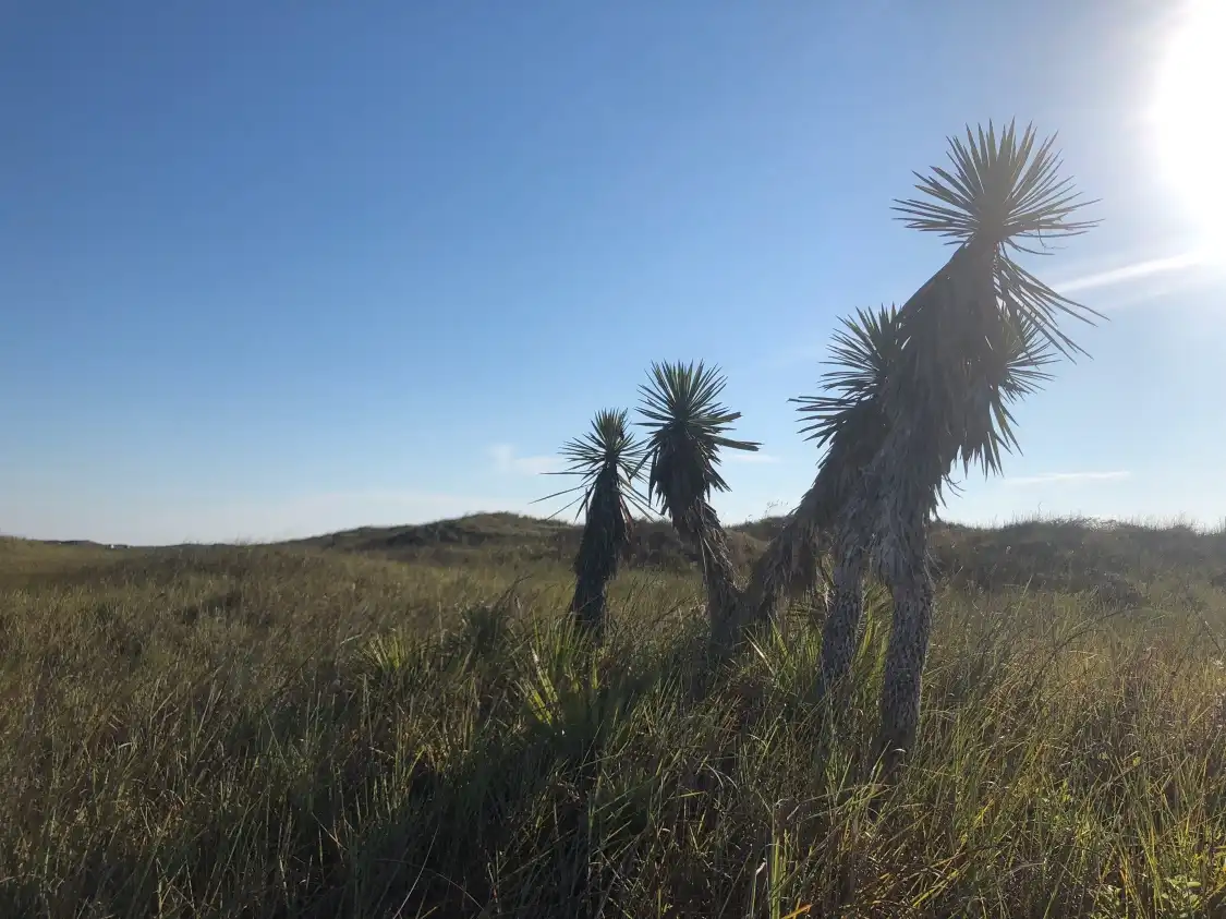 Hotels near Grasslands Nature Trail