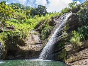 Concord Falls