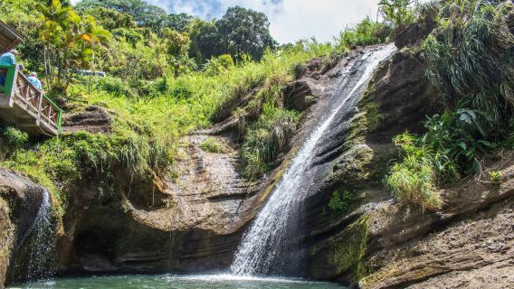 Concord Falls