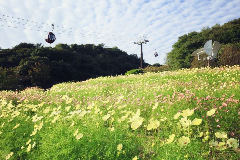 고베 누노비키 허브엔/로프웨이