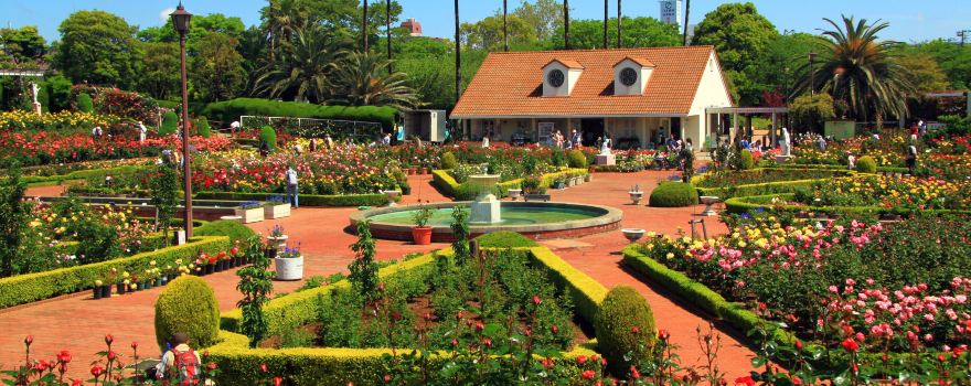 Yatsu Rose Garden