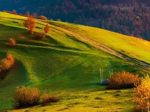Arwad