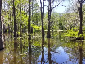 Atchafalaya Welcome Center