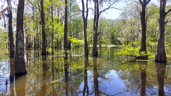 Atchafalaya Welcome Center