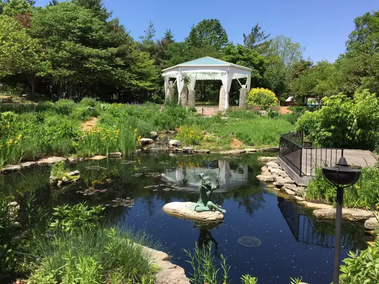 Hotels near Sophia M. Sachs Butterfly House