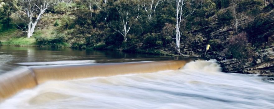 Yarra Bend Park