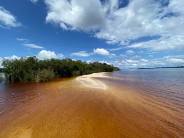 Arquipelago de Anavilhanas