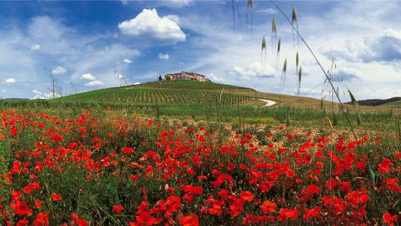 Mazza Società Agricola