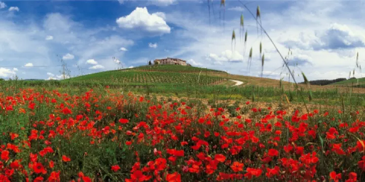 Mazza Società Agricola