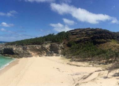 Rodrigues