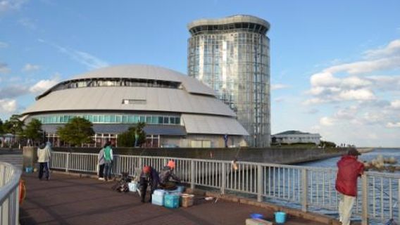 Minato-onsen Honokami