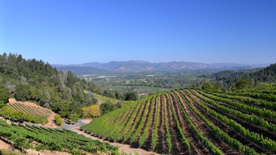 Napa County