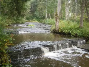 Treppoja Cascade