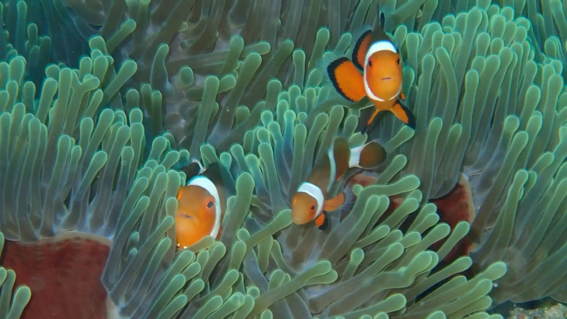 Hotels near Palaka Siargao Dive Center