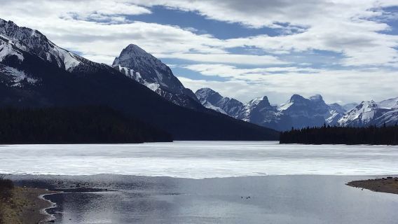 Maligne Adventures