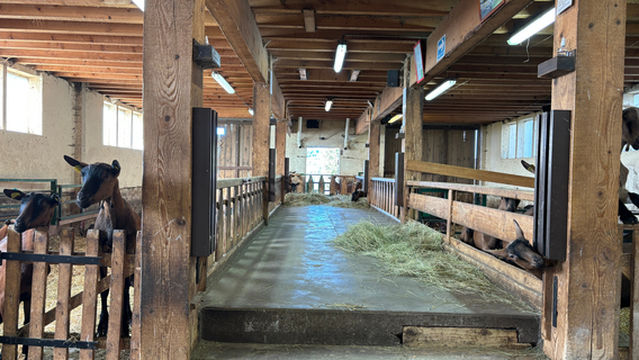 La Chevrerie du Brabant