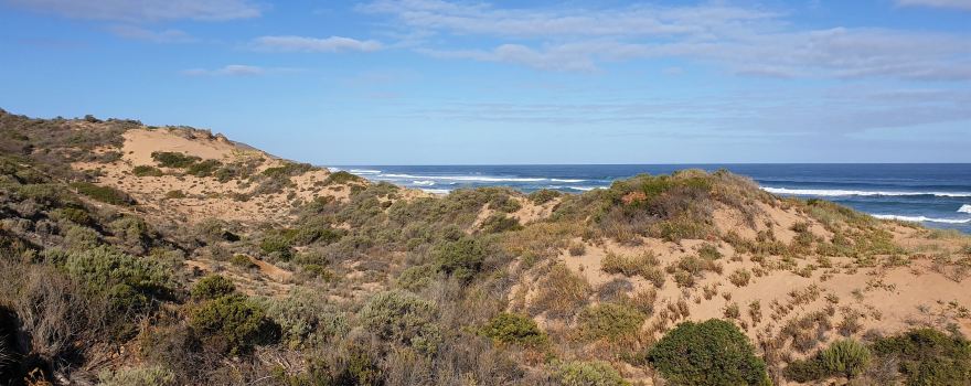 Waitpinga Beach