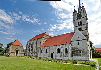 Evangelical Lutheran Church