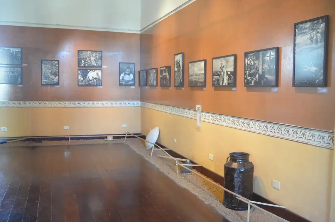 Hotels near MISA - Museum of Image and Sound of Alagoas