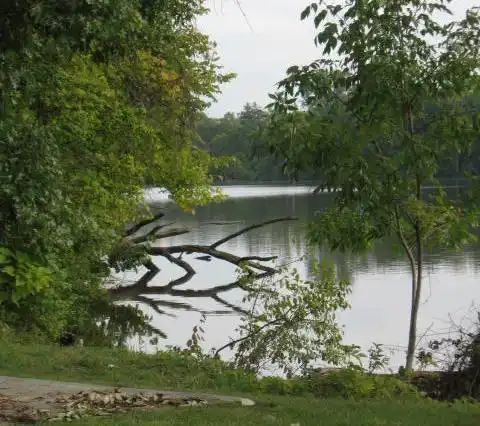 Hotels near Thread Lake