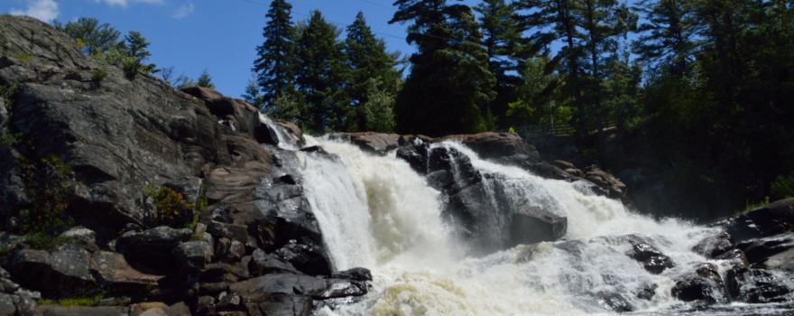 Bracebridge