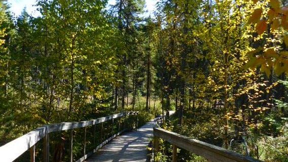 Spruce Bog Boardwalk Trail
