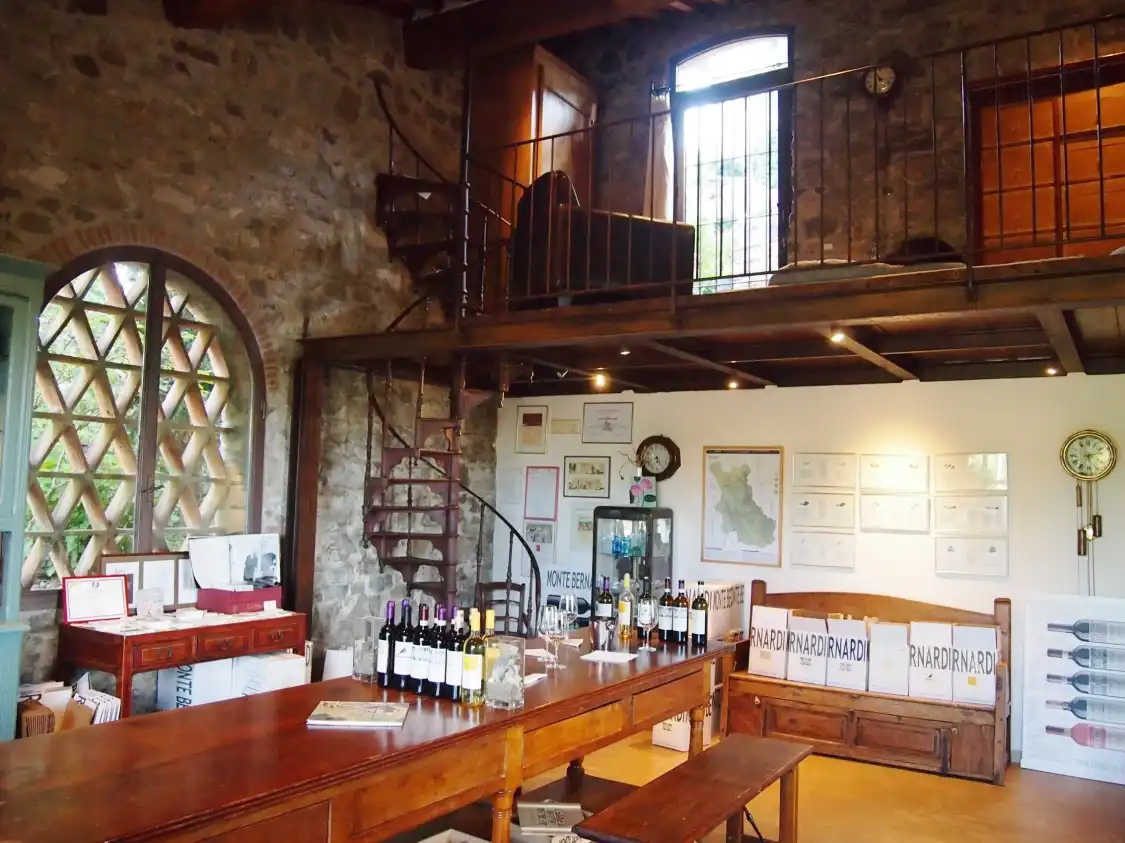 Hotels near Monte Bernardi