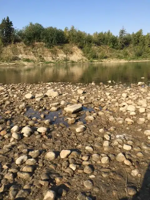 Tail Creek Park附近的飯店