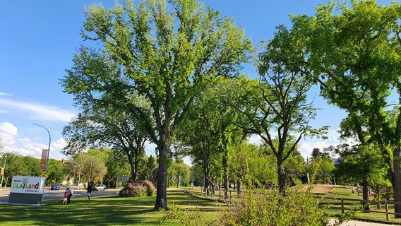 Nutrien Playland at Kinsmen Park