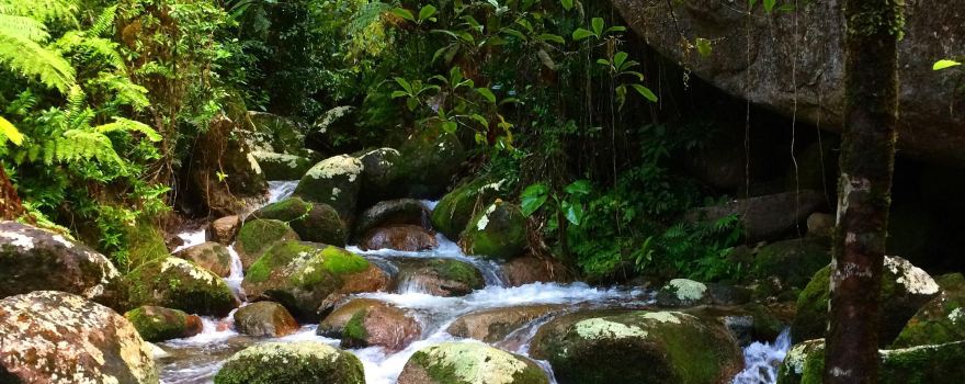 Mount Bartle Frere