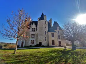 Chateau De Neuvicq-Le-Chateau