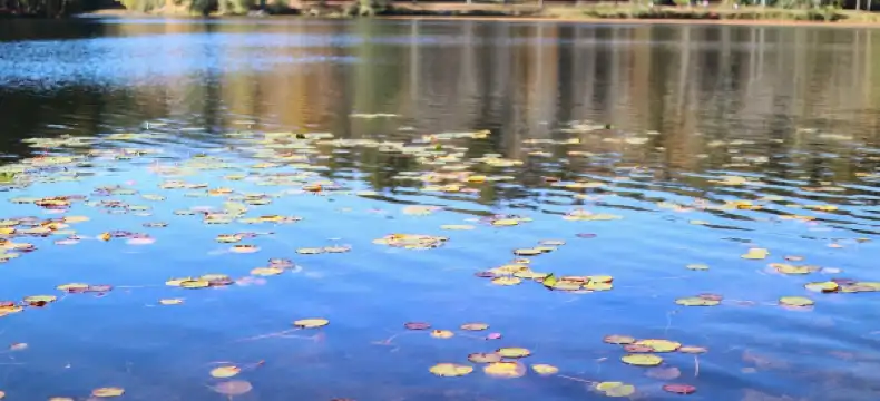 Hotels in Blowing Rock