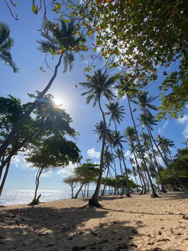 Cabarete