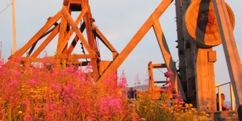 Old Lexington Gardens