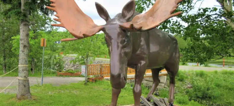 Hotels in Restigouche County